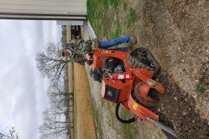 Project Image 14